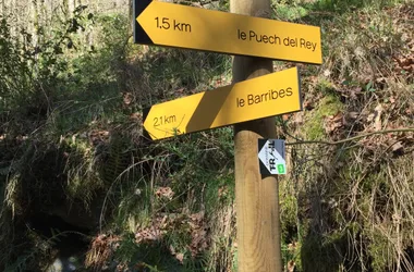 1 - Camino del Barribès-©Laura BICHWILLER- OT Causses Aubrac