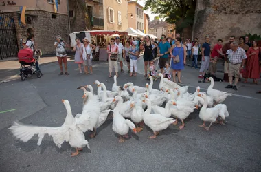 18e  grande fête “Les Médiévales” de Crémieu