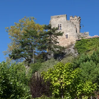 Château delphinal