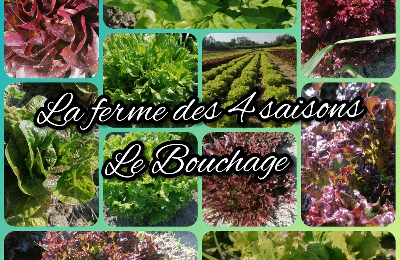 La Ferme des 4 Saisons - Producent in Le Bouchage