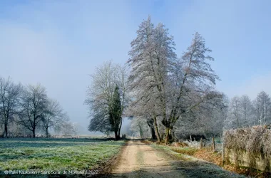 Saint-Sorlin de Morestel