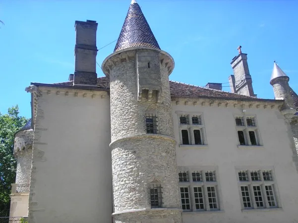 Montchalin - Château de Courtenay