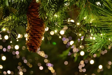 Noël sous la halle : marché de Noël de Montalieu-Vercieu