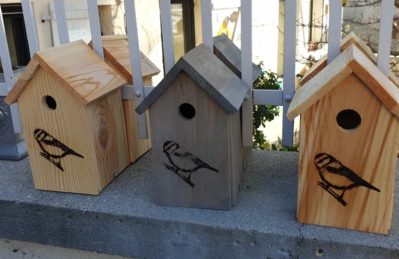 The Birdhouses