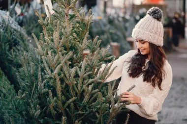 Vente de sapins de Noël à Saint-Chef