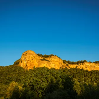 Sortie ENS : osez la nature au crépuscule !