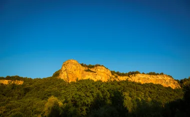 Sortie ENS : osez la nature au crépuscule !