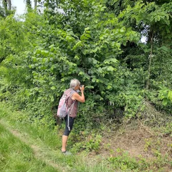 Sortie Lo Parvi : initiation à la photographie naturaliste