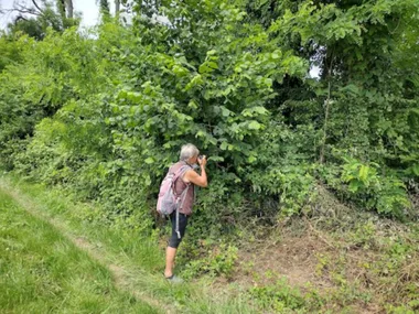 Sortie Lo Parvi : initiation à la photographie naturaliste