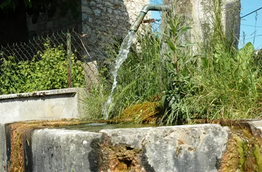 Courtenay Fountain - OTSI Morestel