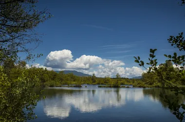 Espace naturel sensible de la Save - Sectuer étangs de Passins