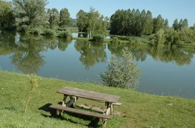 aire de pique-nique aux étangs de Vasselin