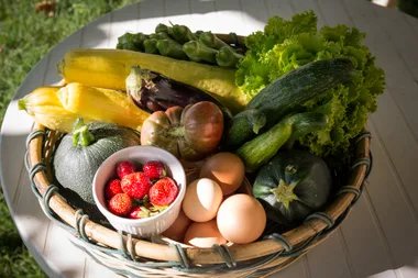 Vegetable basket Les Jardins de Pompoko