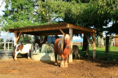 Atelier boulanger à l’Arche de Julie