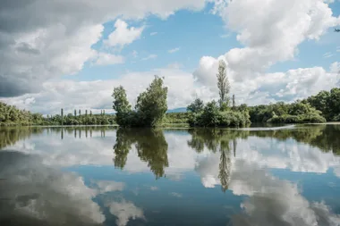 Sortie nature “Quand les animaux migrent : pourquoi, comment?”