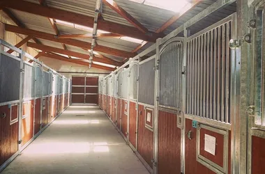 Arandon stables