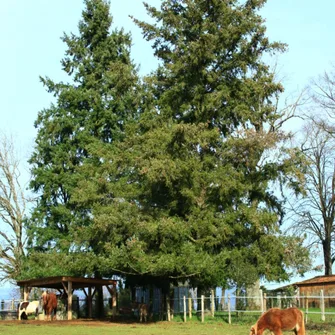 Atelier avec les équidés à l’Arche de Julie