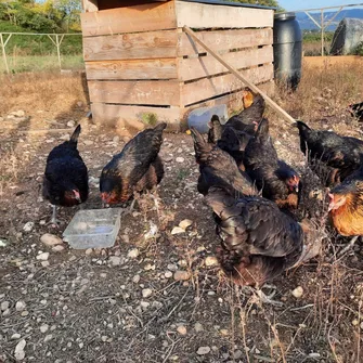 La ferme du Sureau