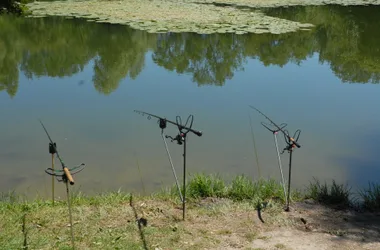 Rods ready to fish