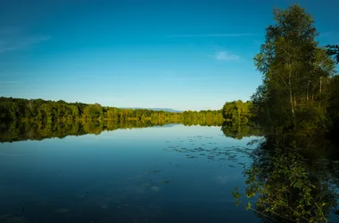 Save Sensitive Natural Area - Save Lake