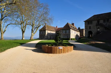 Château de Montolivet