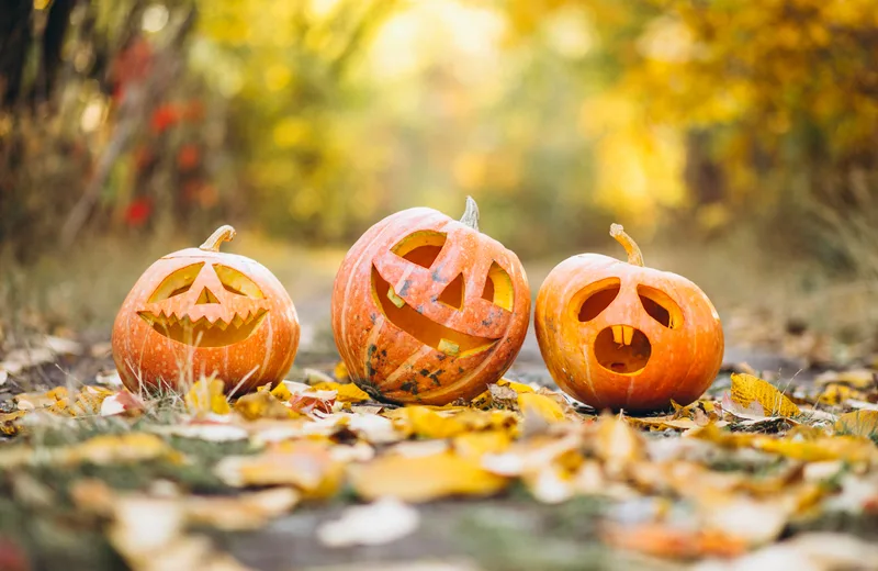 Atelier Halloween “Light painting et jumeaux maléfiques”