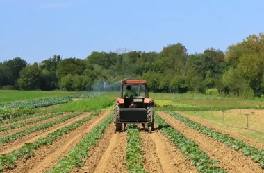 La Tour des Saveurs