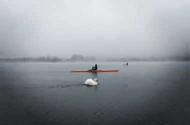 rowing nature sport