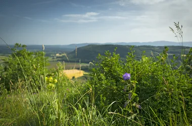 Gevoelig natuurgebied Plateau de Larina in Hières-sur-Amby, gemeente Balcons du Dauphiné