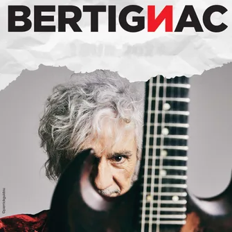 Concert de Louis Bertignac