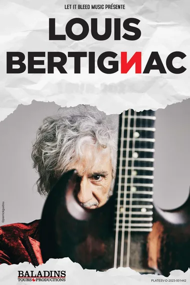 Concert de Louis Bertignac