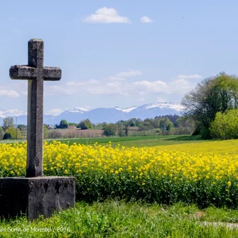 Saint-Sorlin de Morestel