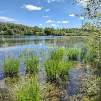 Sortie Lo Parvi : lecture de paysage et approche des milieux naturels