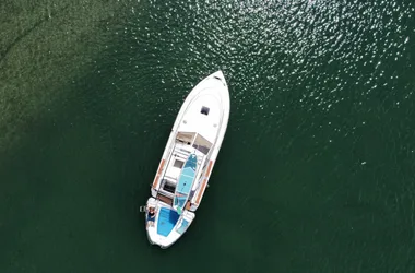 Mini croisière sur la réserve naturelle nationale du Haut-Rhône français