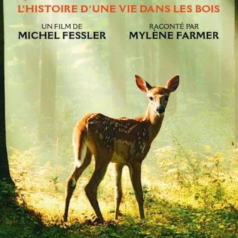 Séance de cinéma en avant-première “Bambi, l’histoire d’une vie dans les bois””