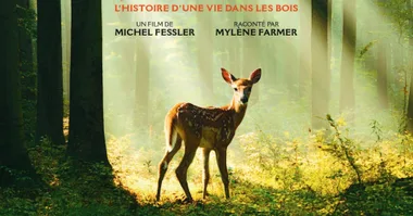 Séance de cinéma en avant-première “Bambi, l’histoire d’une vie dans les bois””