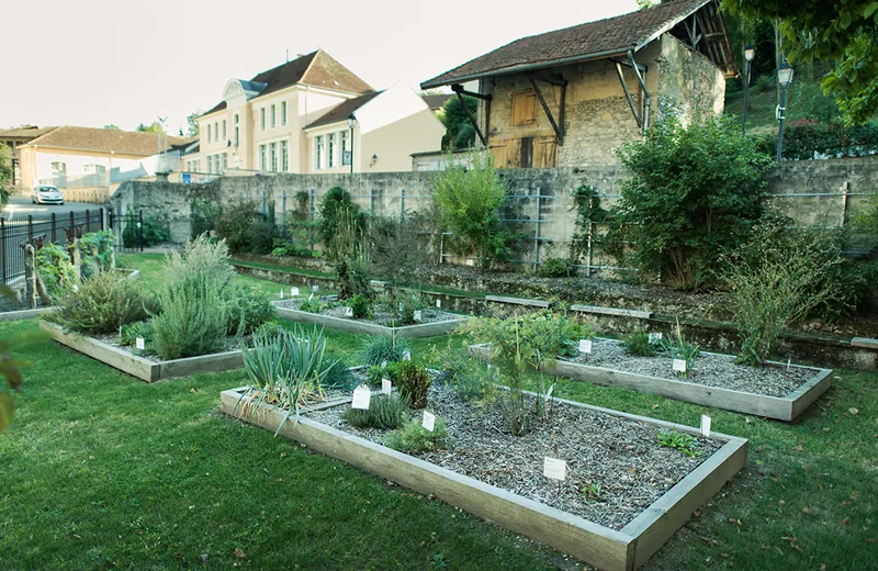 Medieval garden of Saint-Chef