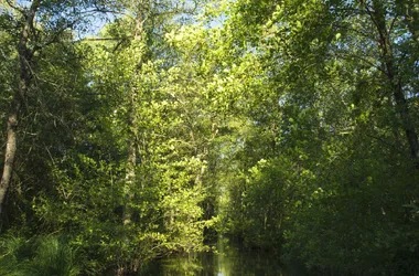 Sensibles Naturgebiet Sava - Sektor der Passins-Teiche