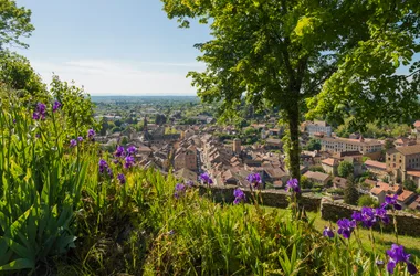 Randonnée nature avec panorama, entre Crémieu, cité médiévale et l’étang de Dizimieu