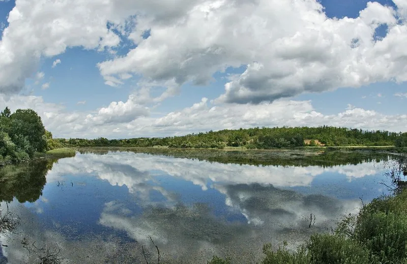 Sensitive natural area of ​​the Lemps pond
