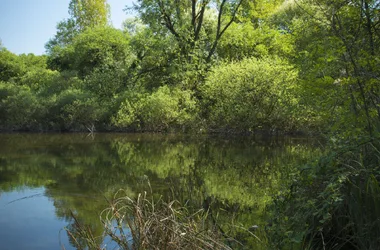 Sensibles Naturgebiet Sava - Sektor der Passins-Teiche