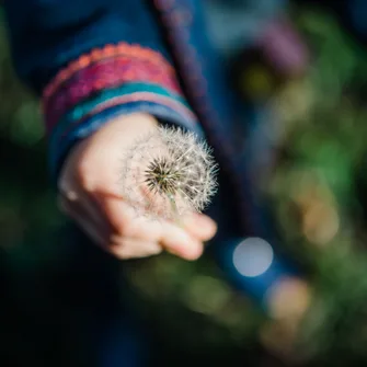 Sortie ENS : éveil à la nature pour les tout-petits (0-3 ans)