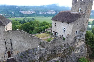 Maison forte dit Château Vieux de Vertrieu