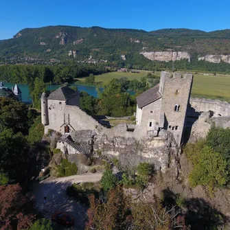 Maison forte dit Château Vieux de Vertrieu