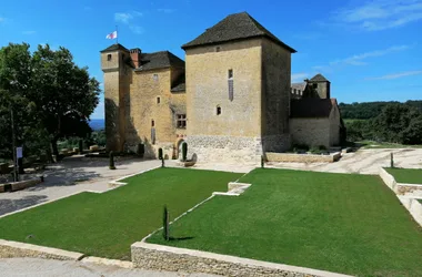 Montplaisant Castle