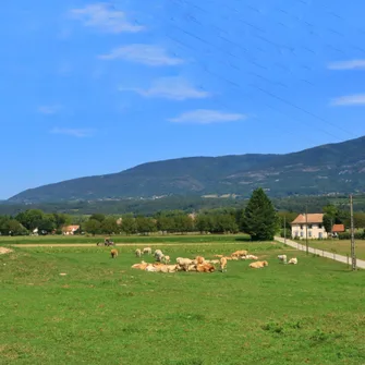 La Tour des Saveurs