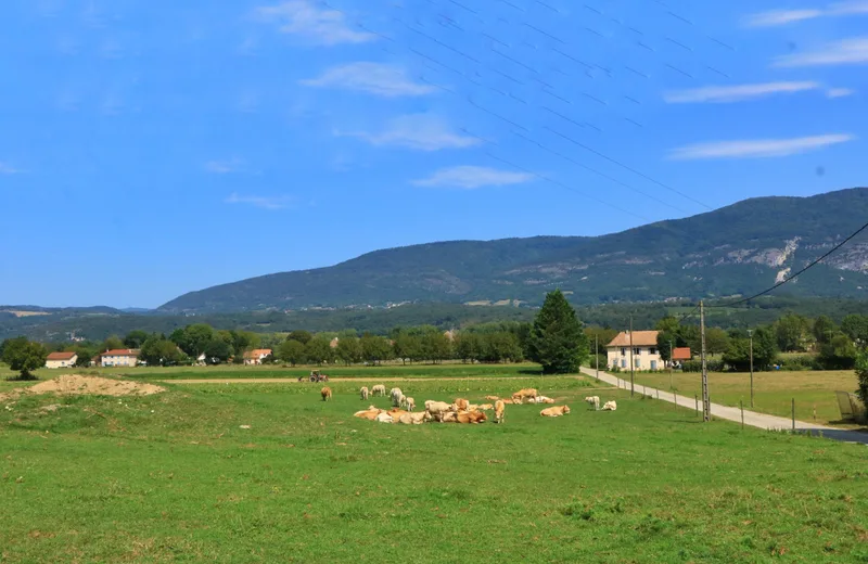 La Tour des Saveurs