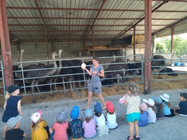 Visit to Father Louis' educational farm for schoolchildren - Morestel