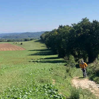 Randonnée avec panoramas en trottinettes électriques autour de Trept