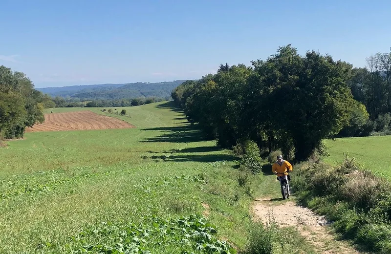 Randonnée avec panoramas en trottinettes électriques autour de Trept